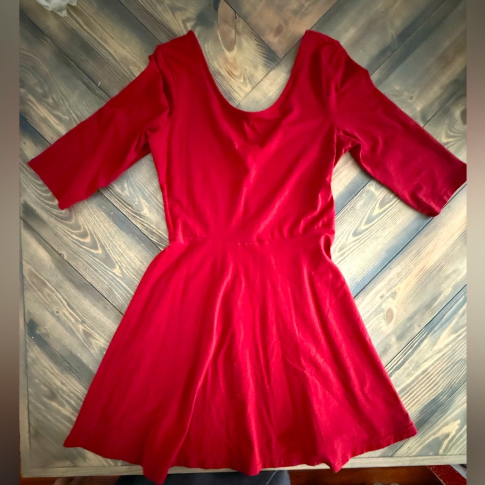 Express Skater Dress
